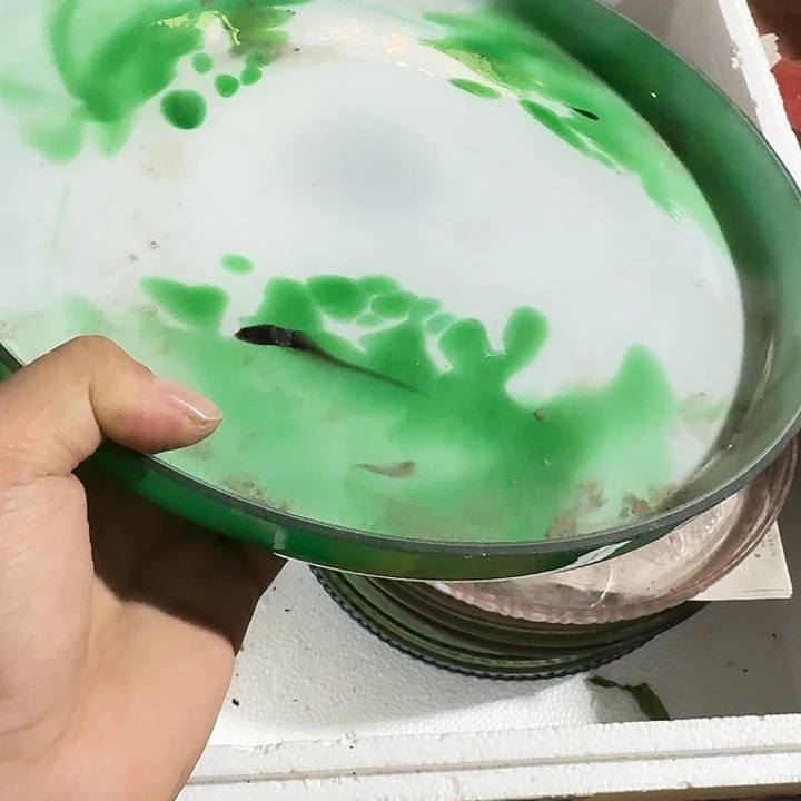 顽***派扇子吃g给哈哈哈哈哈哈哈哈哈