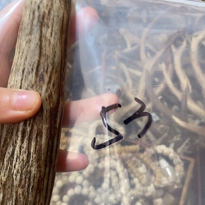 错***过非金属鹿角鹿角鹿角