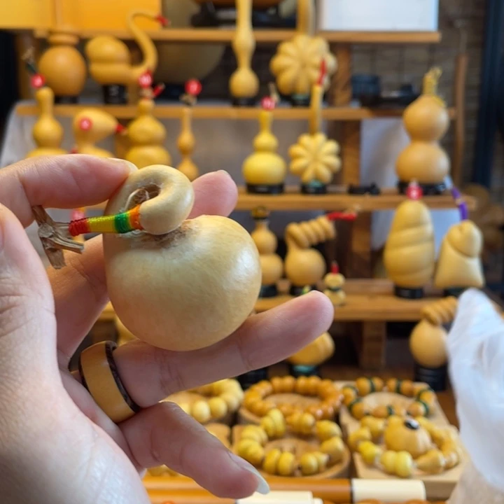 有***蕾天然葫芦自然生长