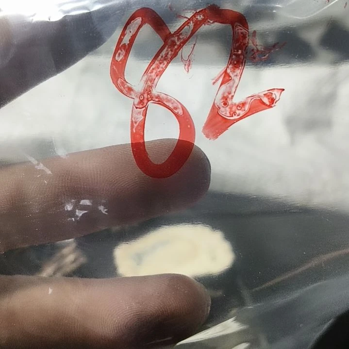 『***』非金属无鹿角鹿角鹿角