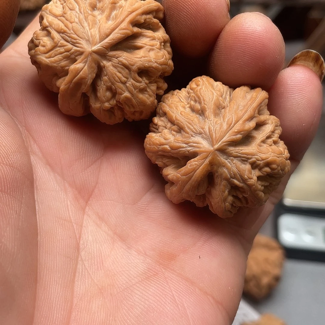 发***运吊坠桃核35大粗筋