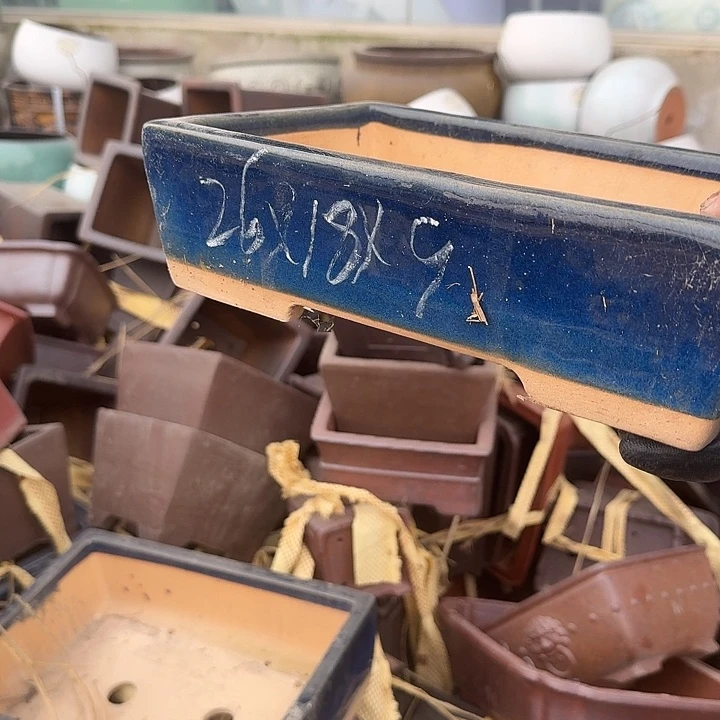 紫砂和花都区将以每年举办