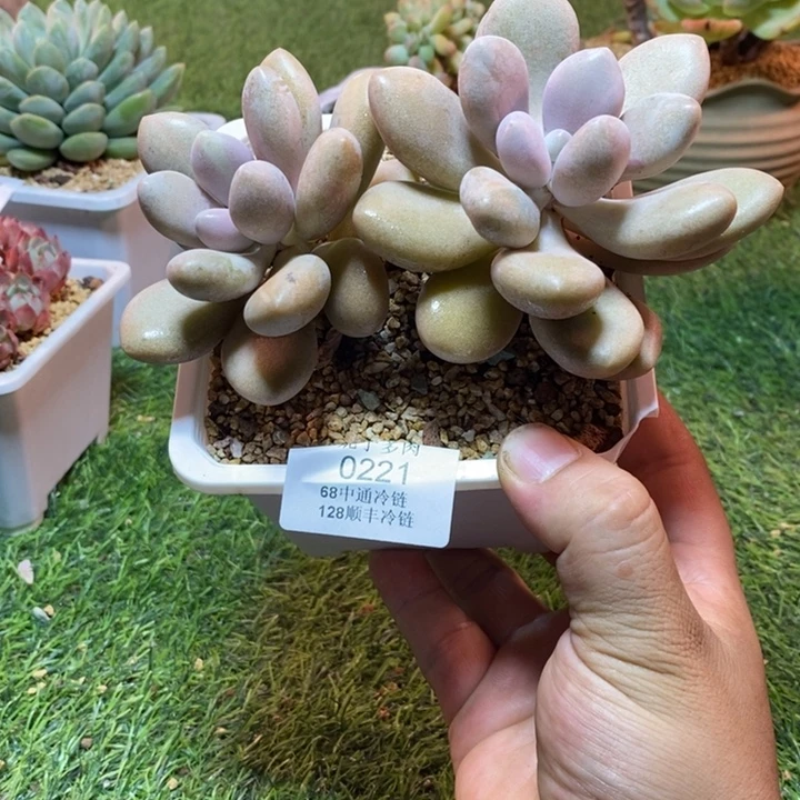 0221啊啊啊啊啊啊啊啊啊啊