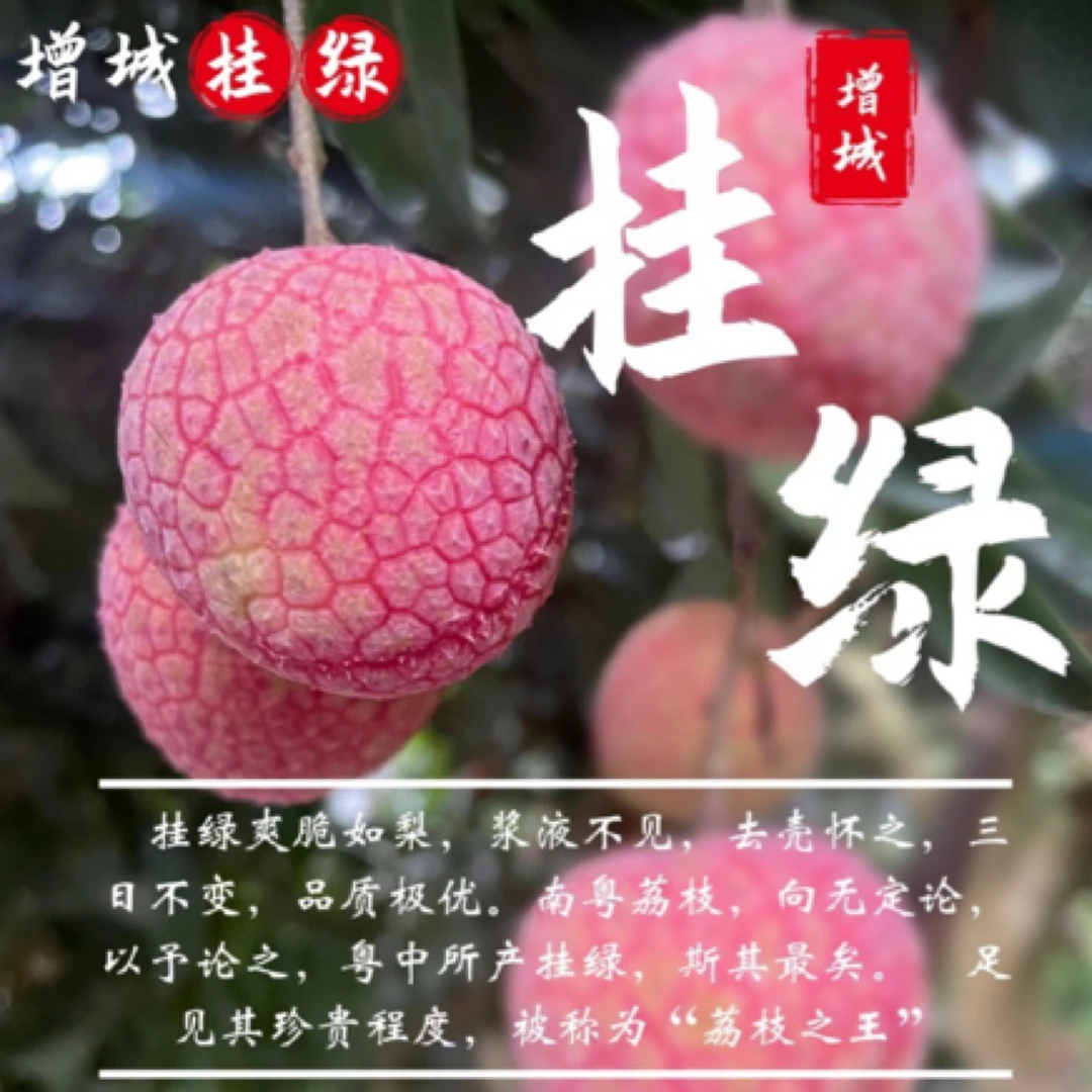 【挂绿】当季新鲜现摘荔枝多种品种顺丰包邮时令水果