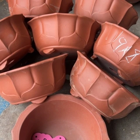 100-8。  19-8。   微瑕。