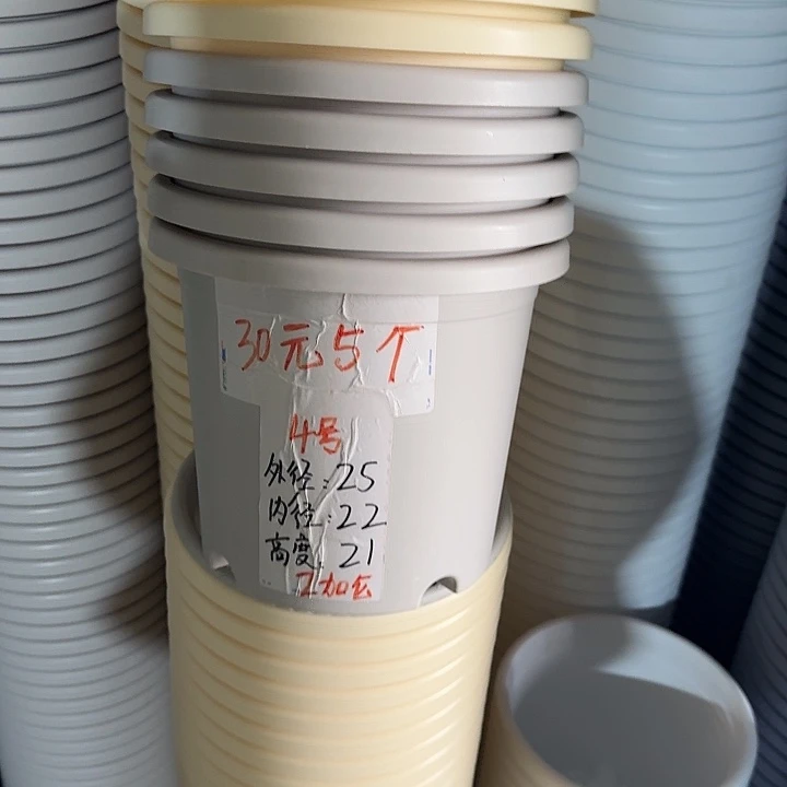四季4#口径25无托灰白8个
