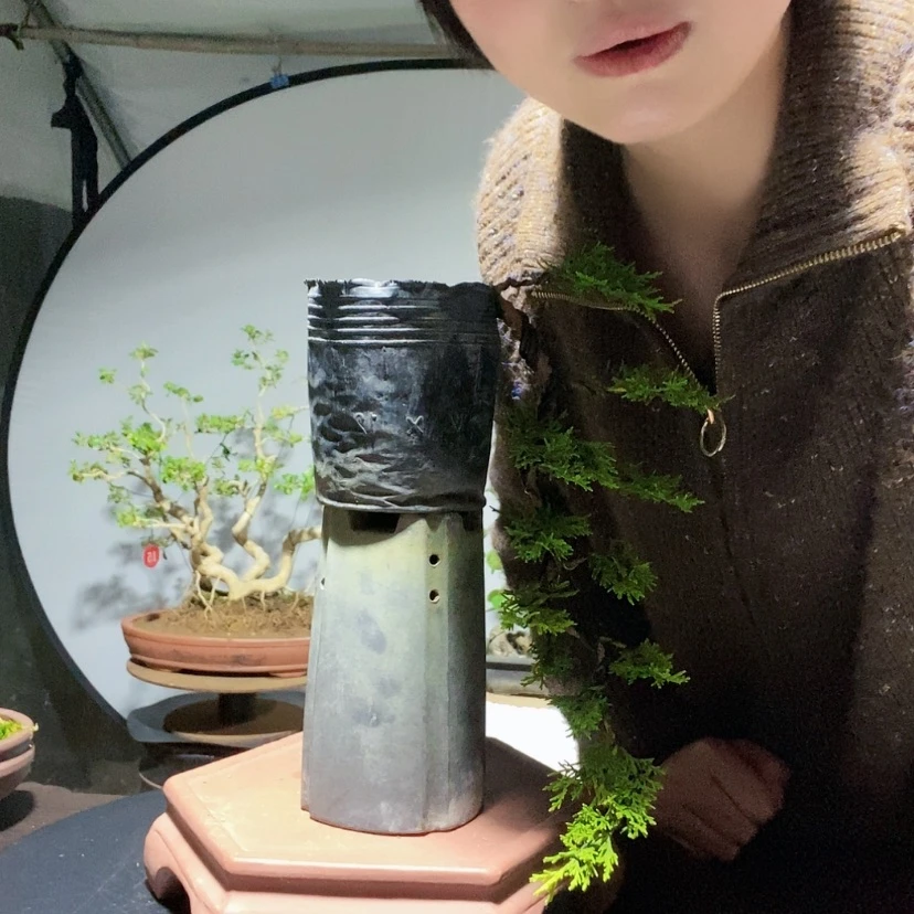 【闪购商品】无花朵盆景艺术