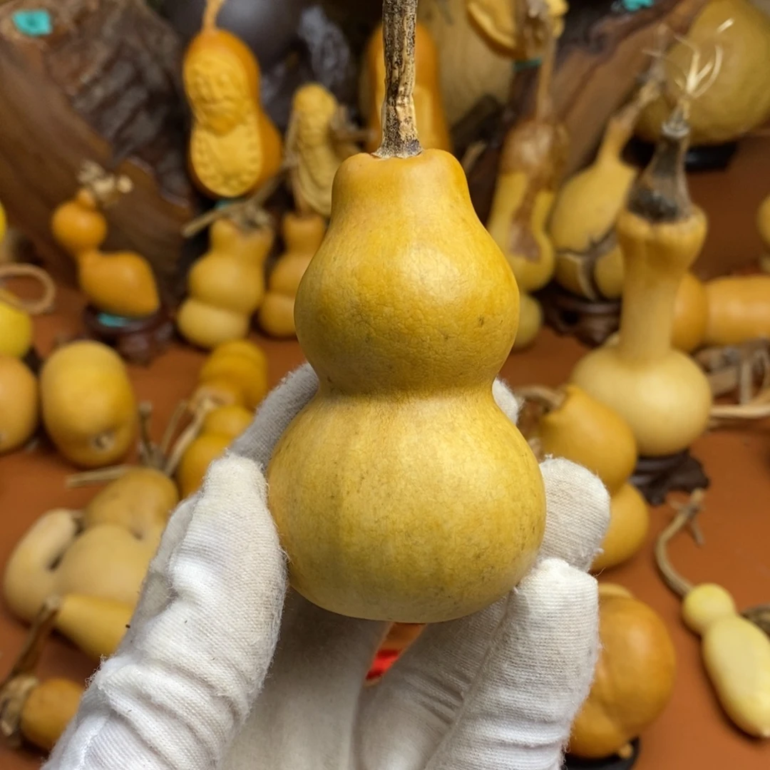 冰***༽教练咯教练咯教练咯