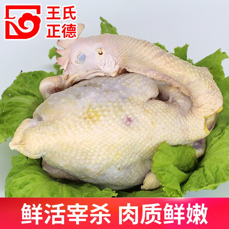 【2年老母鸡】农家散养2-3年黄油老母鸡土鸡粮食鸡笨鸡新鲜盛丰空运