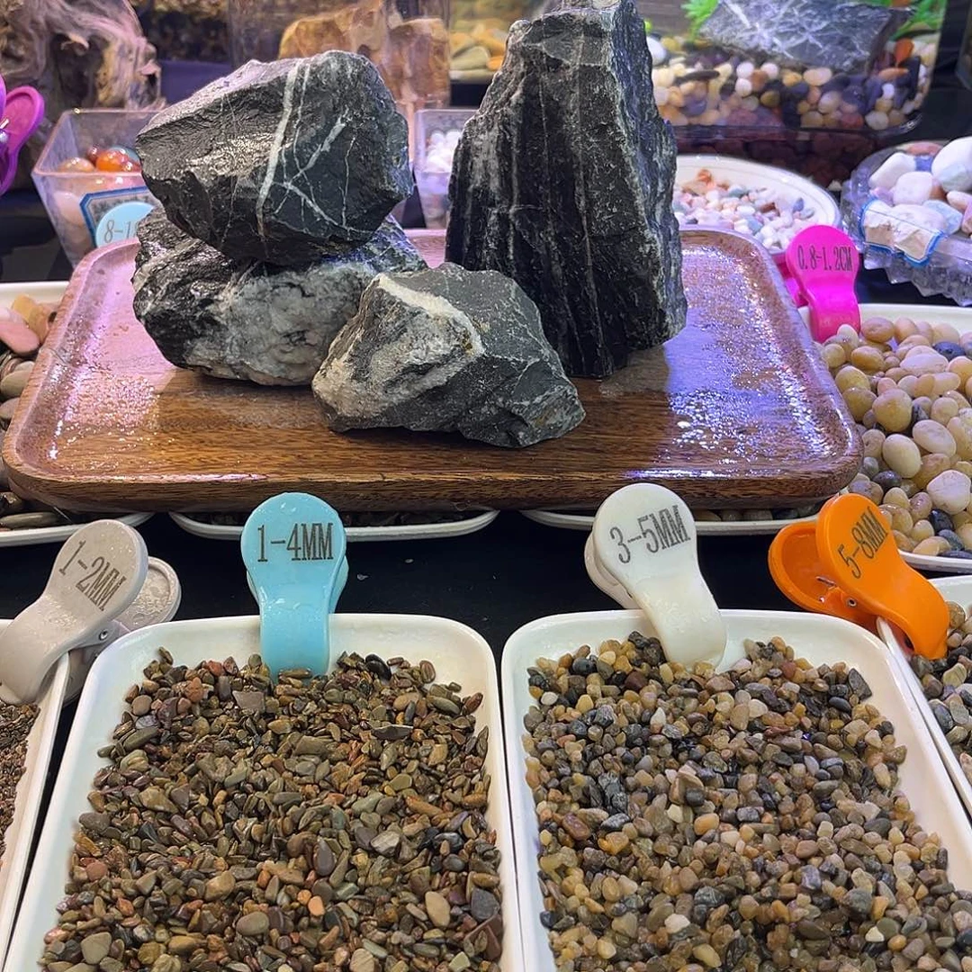 一物一拍1号定制青龙石4块