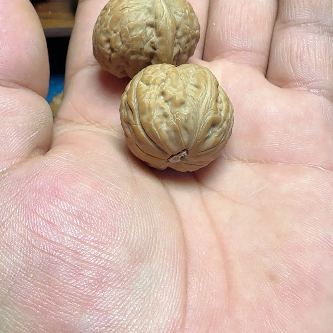 天***上吊坠文玩核桃全品29舍利子