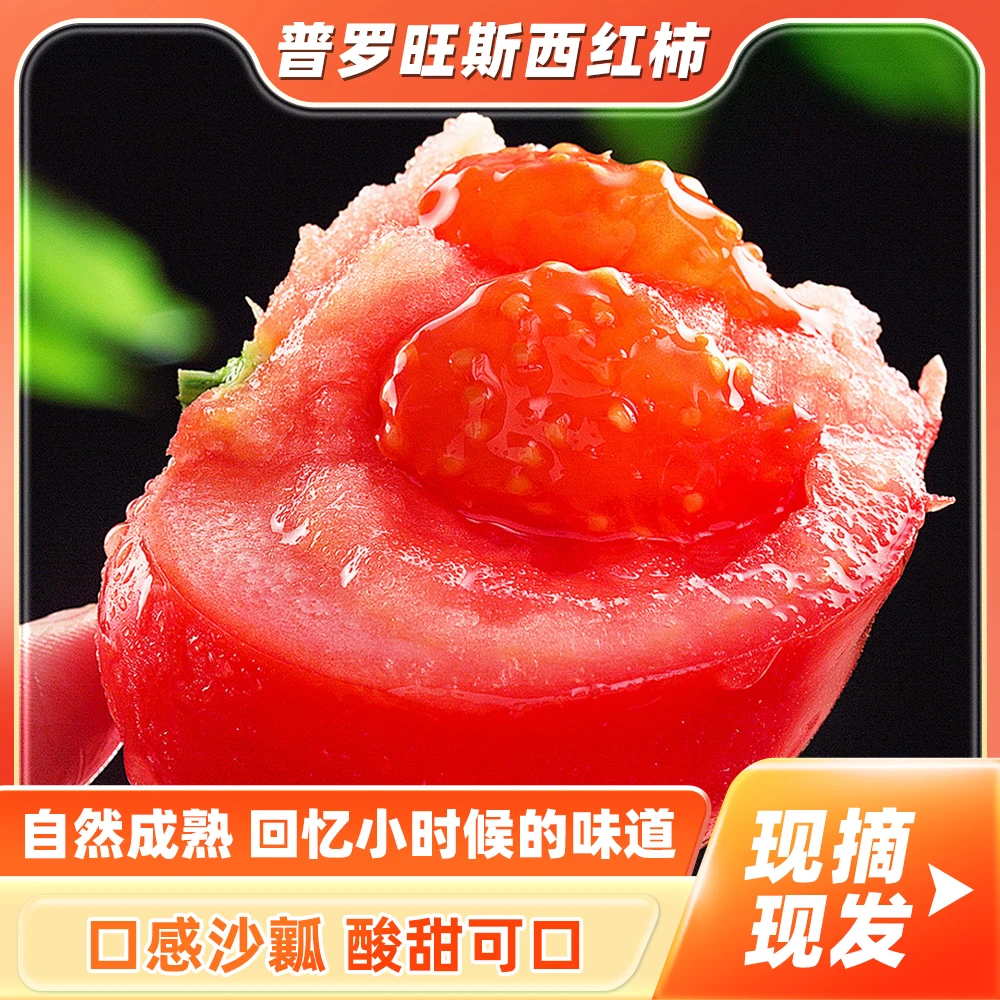 甘肃新鲜现摘普罗旺斯西红柿露天沙瓤自然生吃现番茄水果整箱顺丰