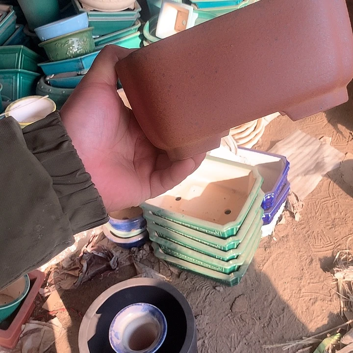 紫砂我要努力赚钱给你们