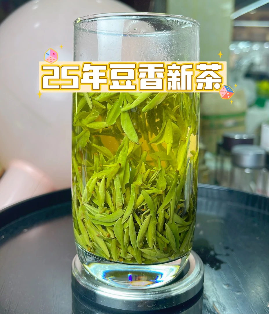 【25年新茶】3-2-0豆香龙井口粮茶好喝明前龙井！龙井茶