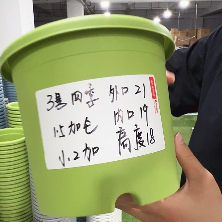 特价3号口21高18果绿无托10只