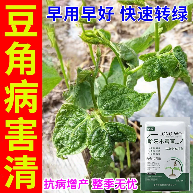 豆角病毒病专用叶面肥豇豆豌豆黄卷叶病炭疽病叶斑锈病青枯病害清