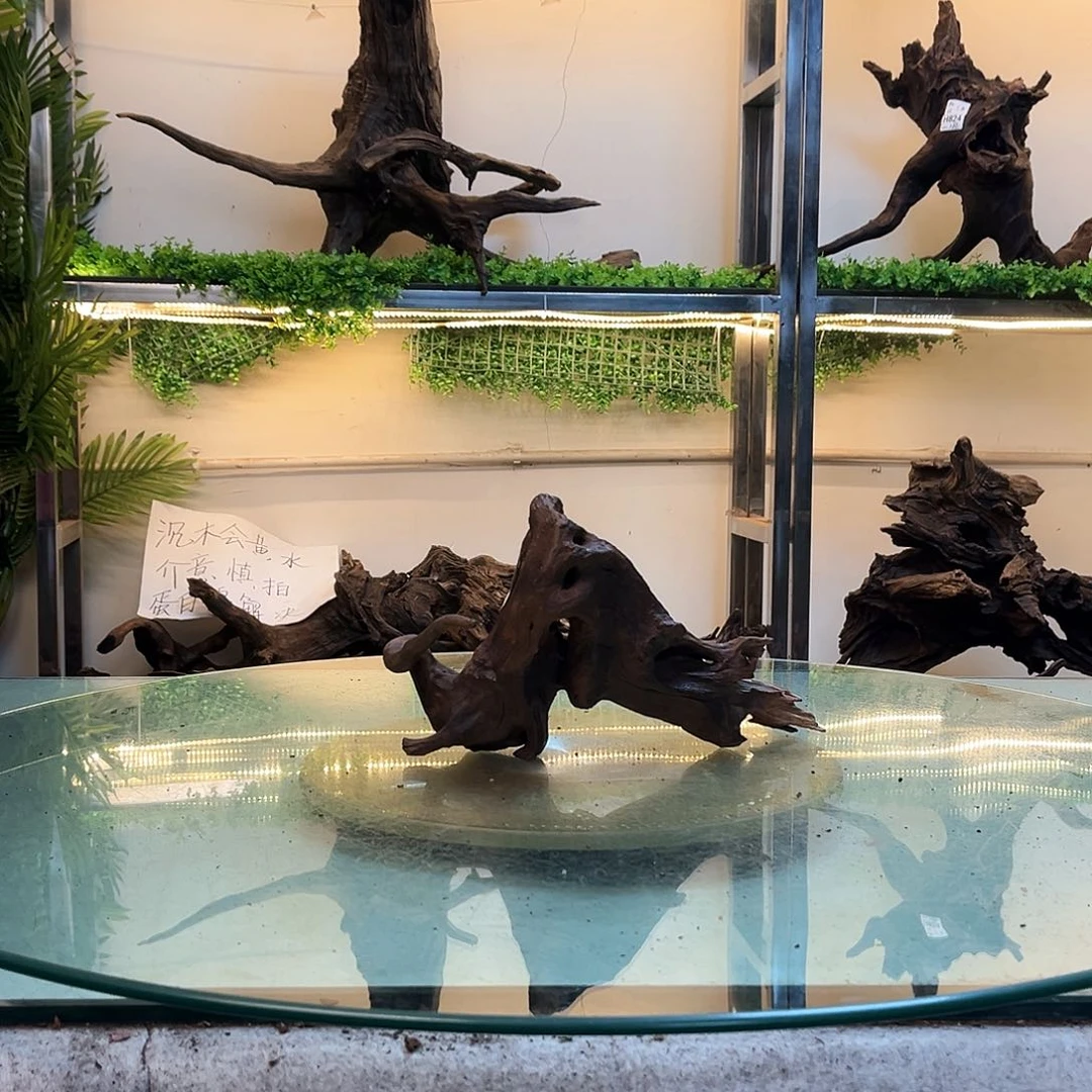 柚木$*$沉木鱼缸造景