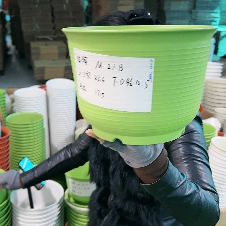 正品矮陶口23.6高17.5果绿无托6只