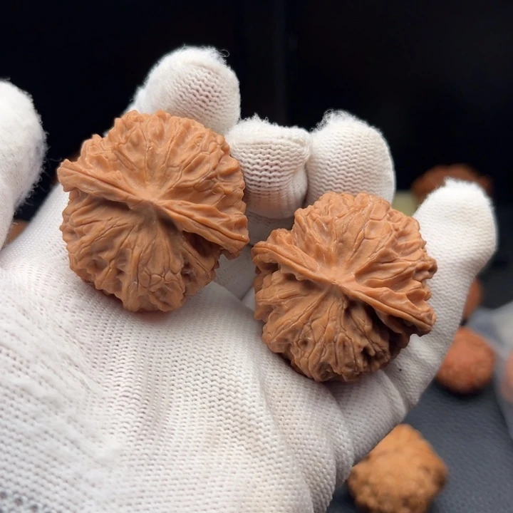 真***香文玩核桃把件苹果园精品