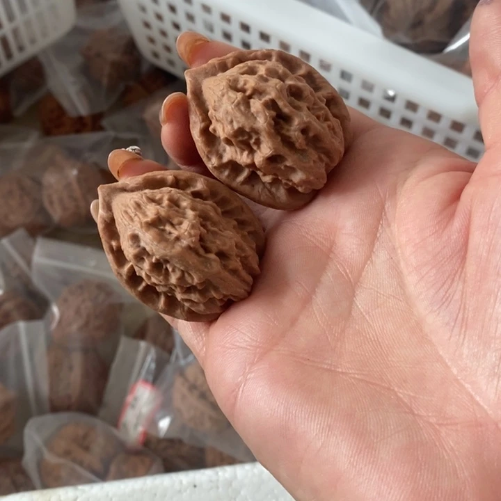 想****奇大红袍大红袍大红袍