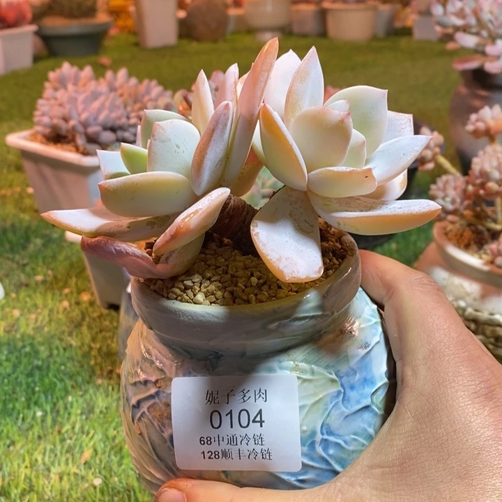 0104啊啊啊啊啊啊啊啊啊