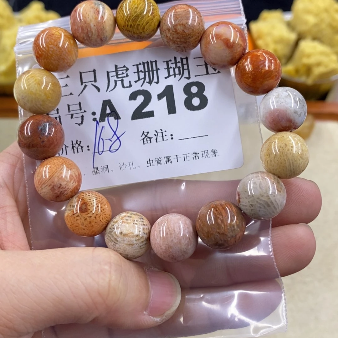 硅化珊瑚（珊瑚玉）1未镶嵌妮****】