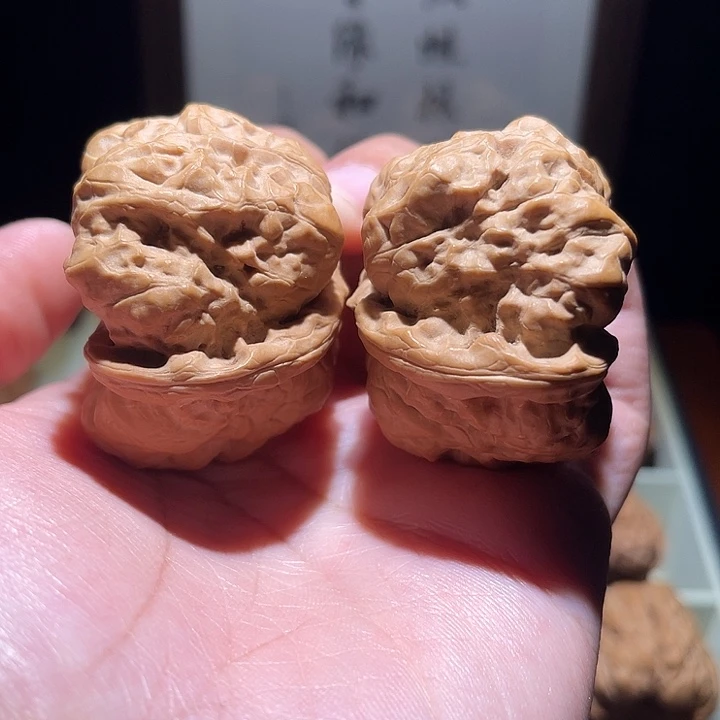 核桃手串/手链46×46蛤蟆头