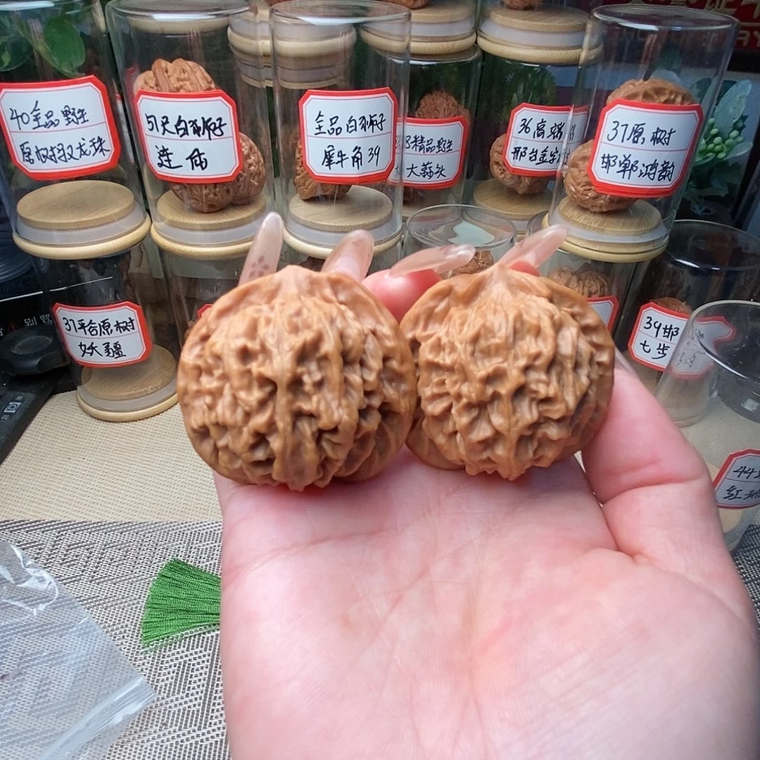 把件文玩核桃43野生原树红珊瑚……