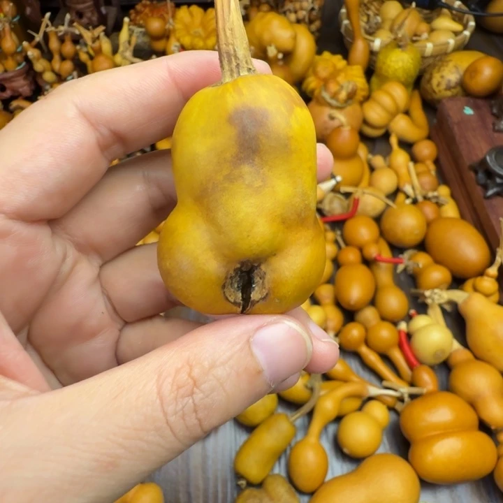 软***子土豆兄弟葫芦兄弟