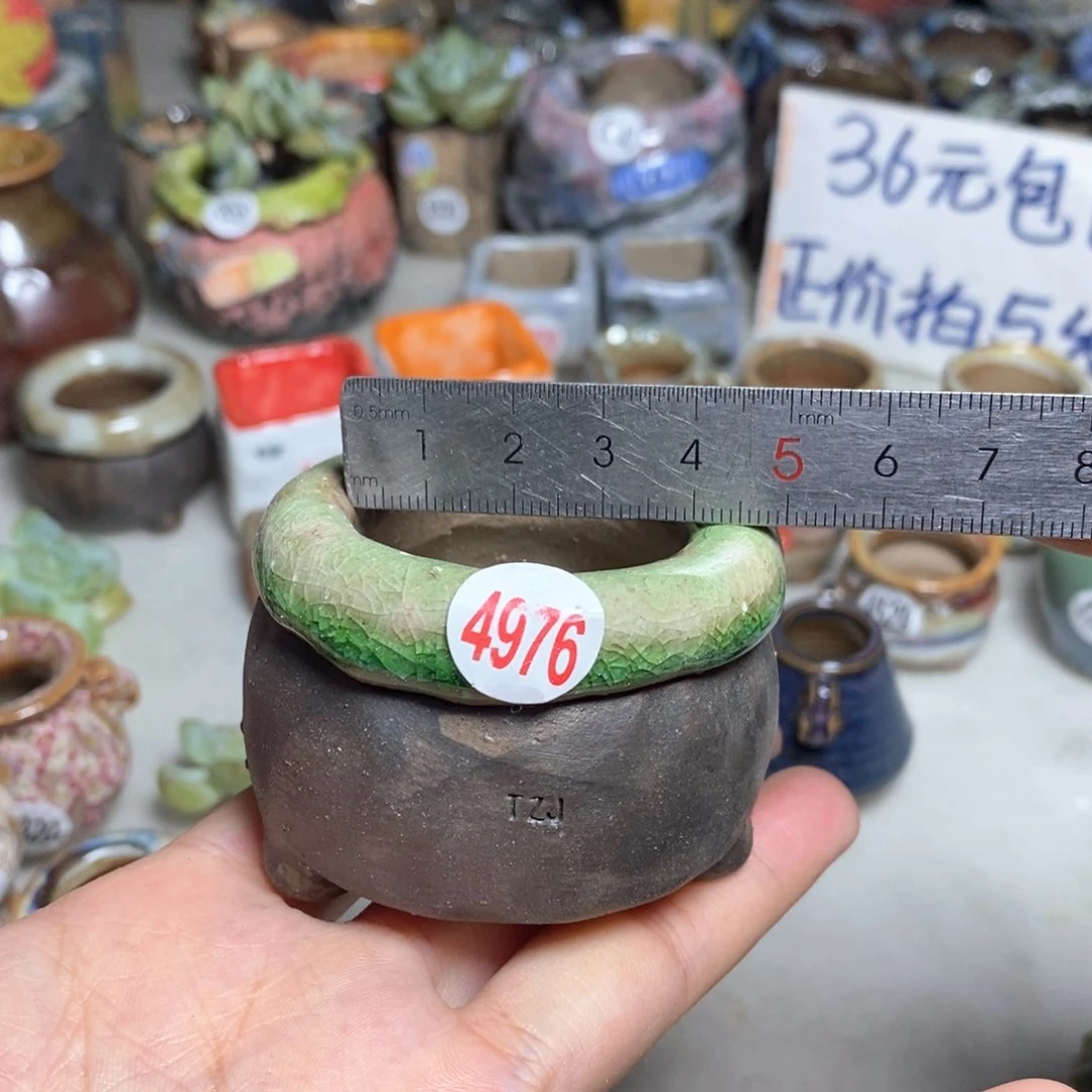 拍3送一个小礼物