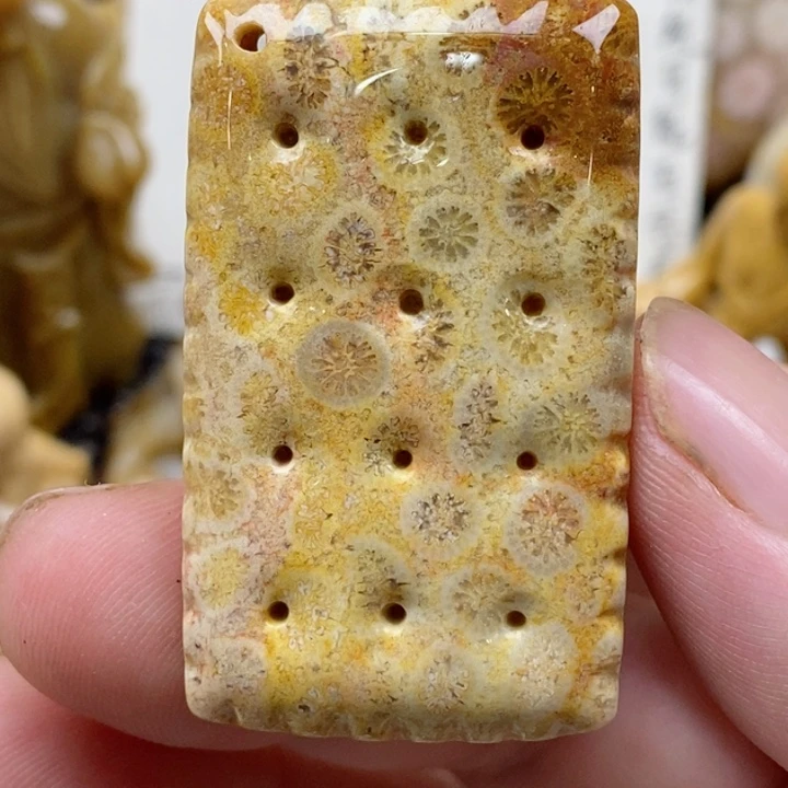 颈饰未镶嵌硅化珊瑚（珊瑚玉）