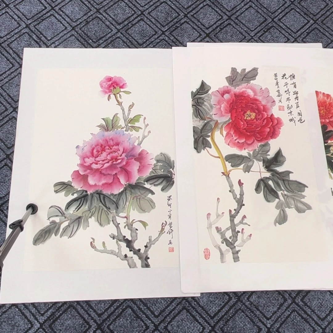 梵***思国画望舒老师四尺三开1四尺四开1琪