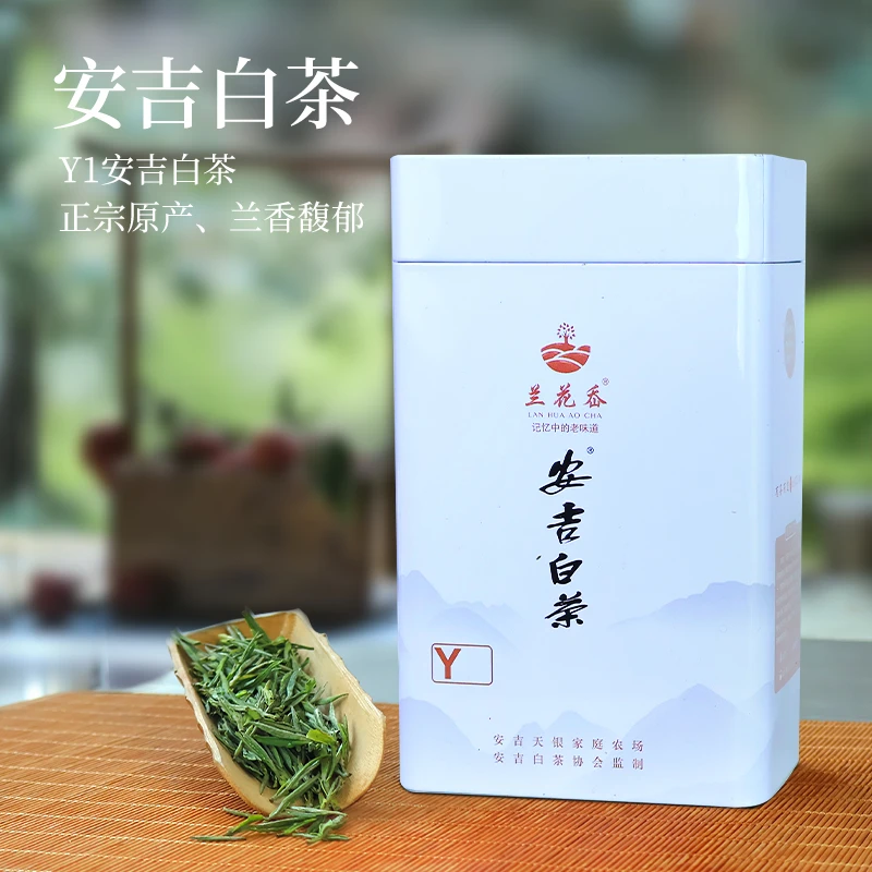 兰花岙【Y1】2025春茶新茶天荒坪银坑产区安吉白茶花果香浓郁款