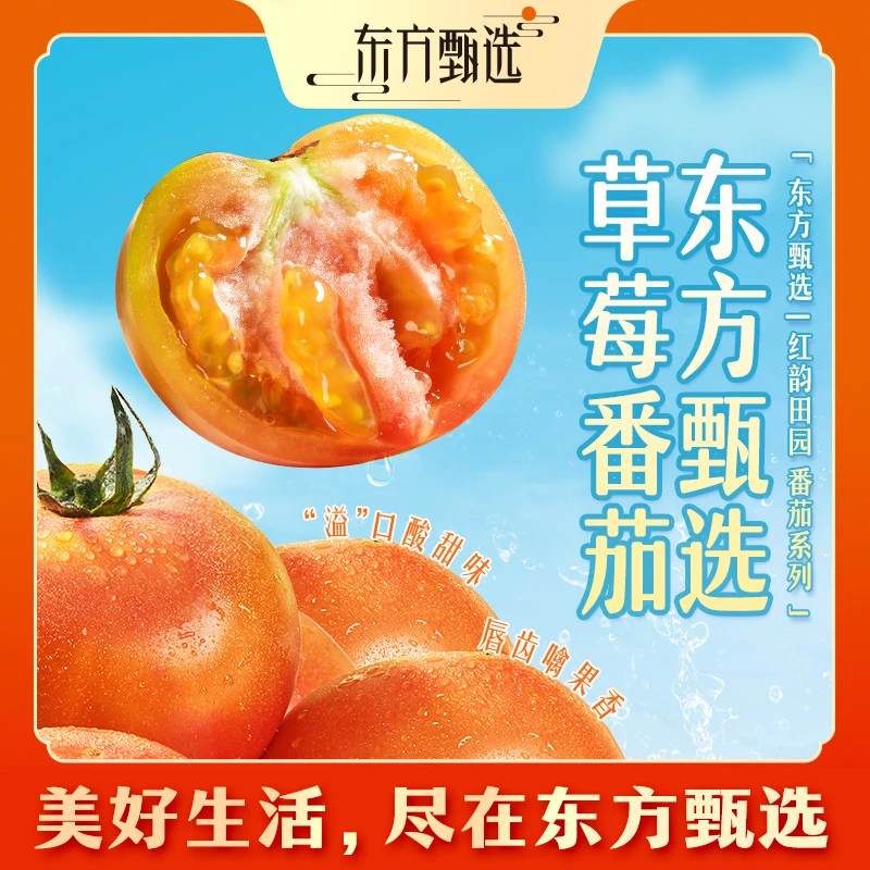 东方甄选自营草莓番茄新鲜水果蔬菜整箱装坏果包赔