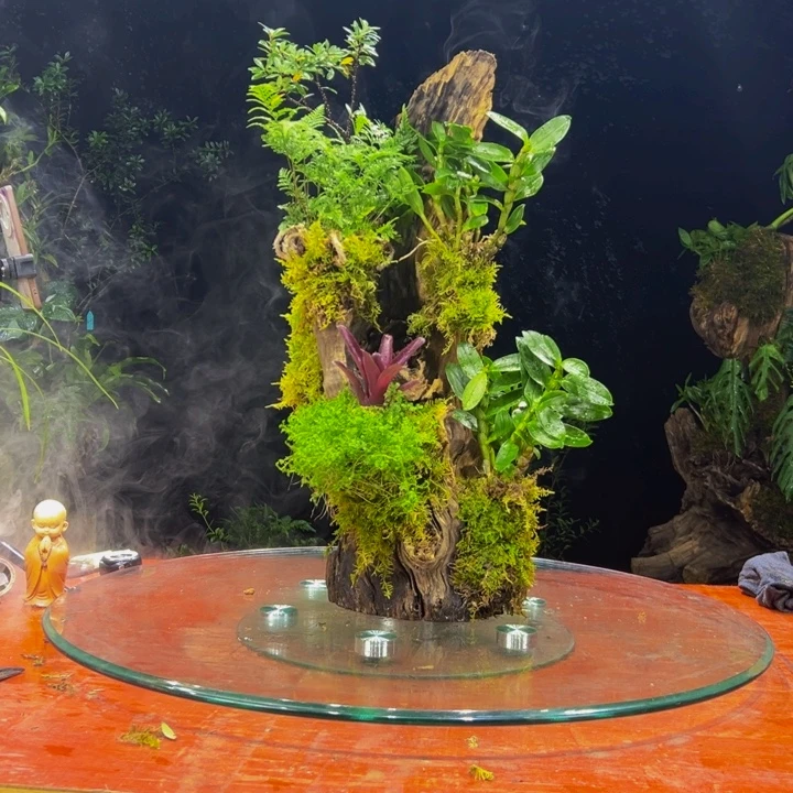 跳***哥完全开放111111111