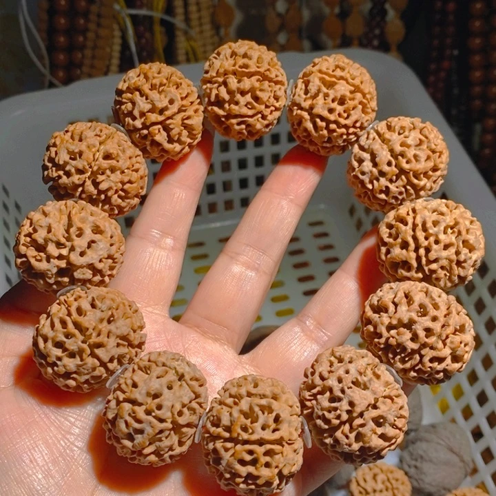 野生多瓣大金刚手持307