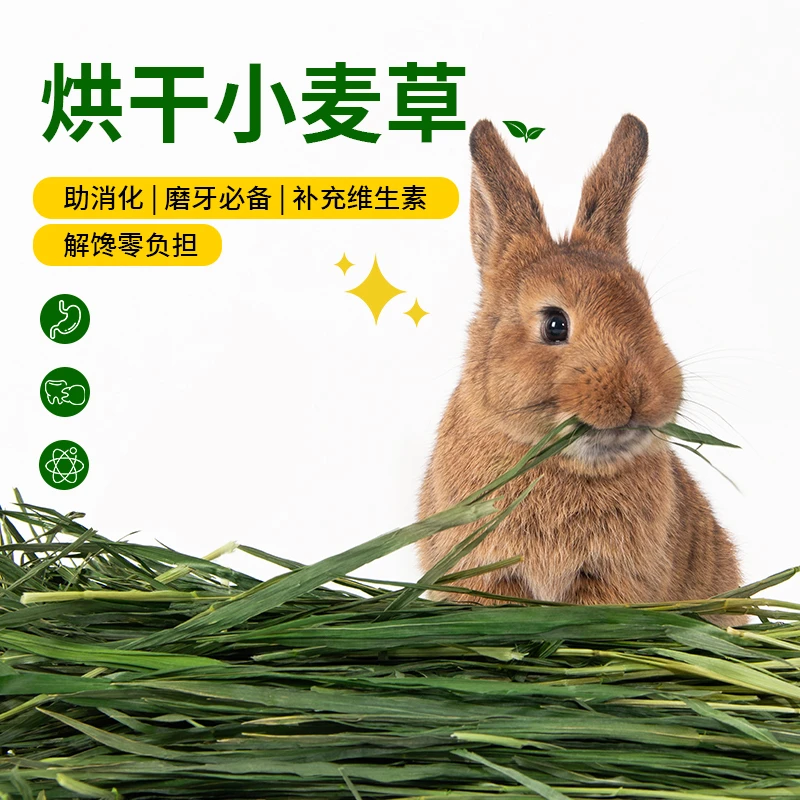 我和它烘干小麦草兔子荷兰猪豚鼠龙猫干草牧草燕麦草毛重700克