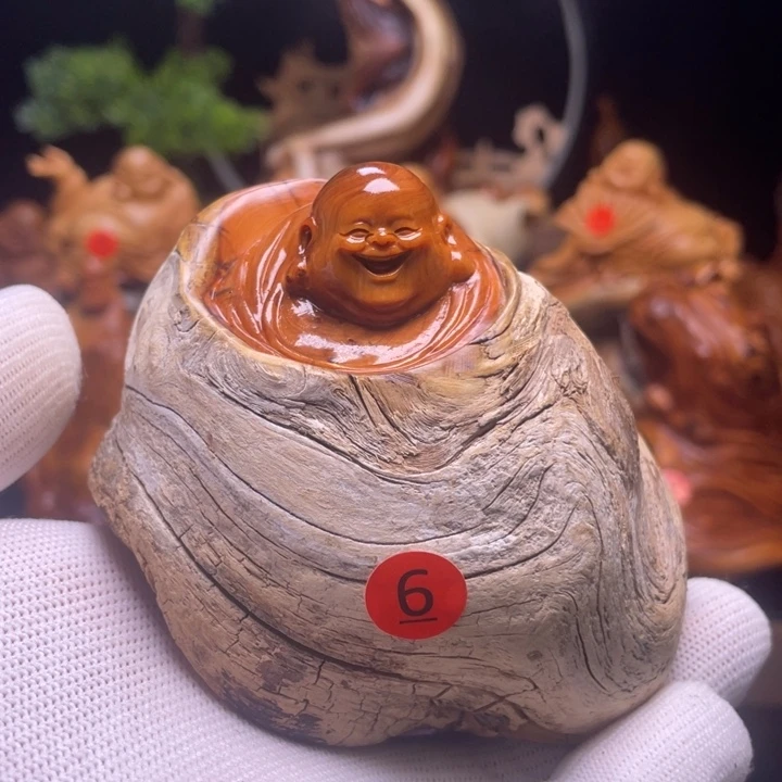 用***5柏木（崖柏）33333333333333333