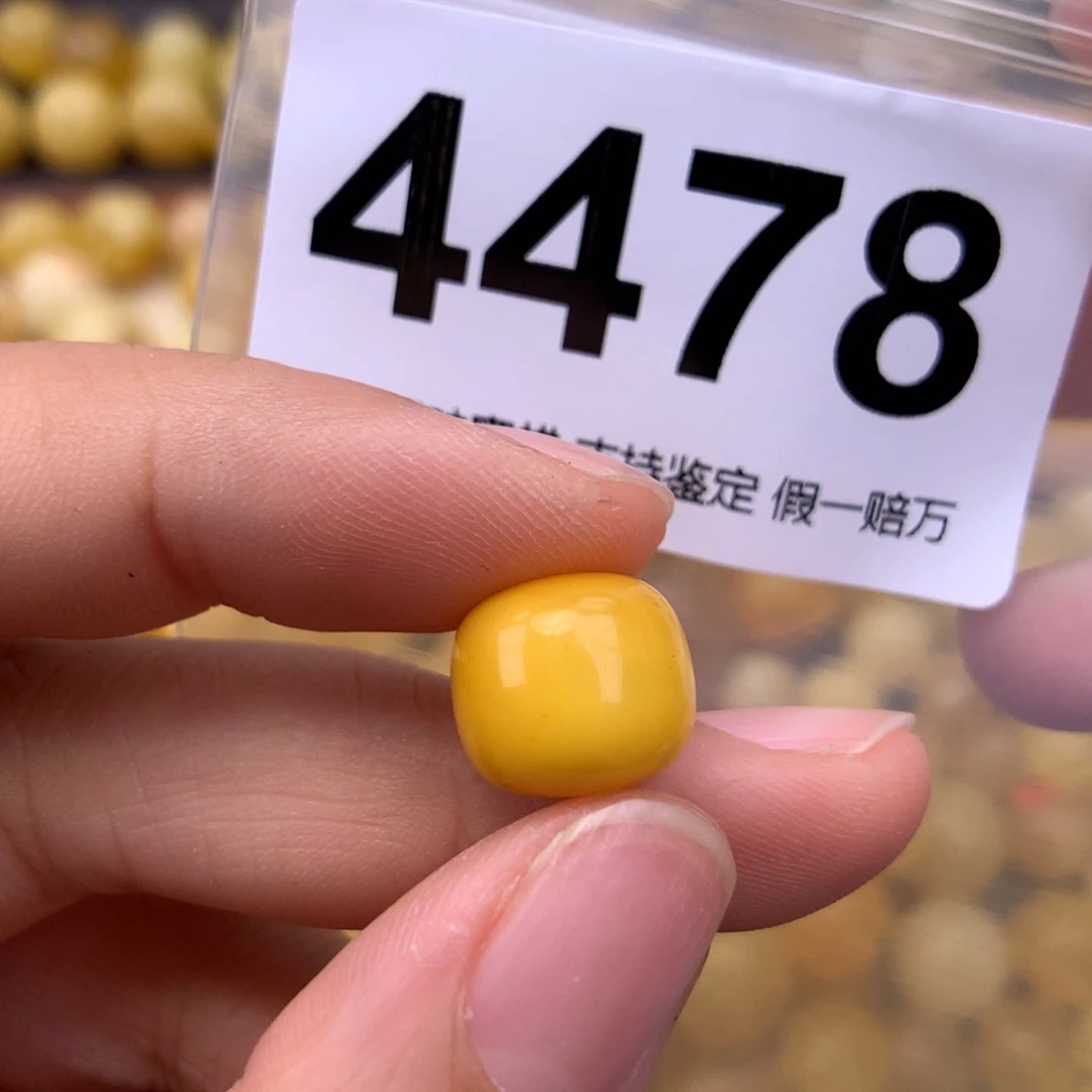 未镶嵌蜜蜡珠宝奇石12.2