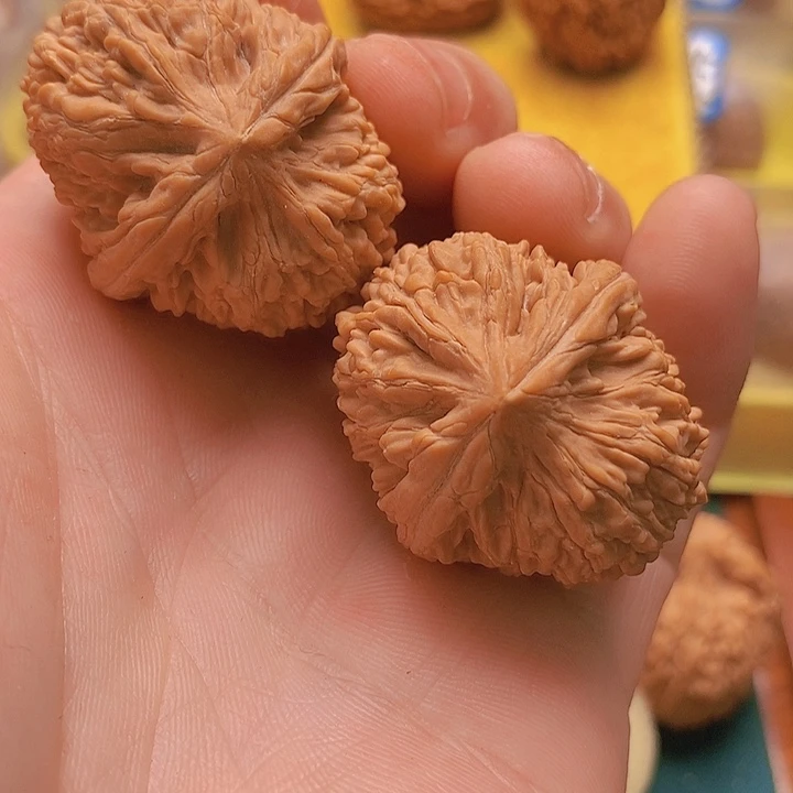 文玩核桃把件边33肚38.5全品大蒜头肚微差