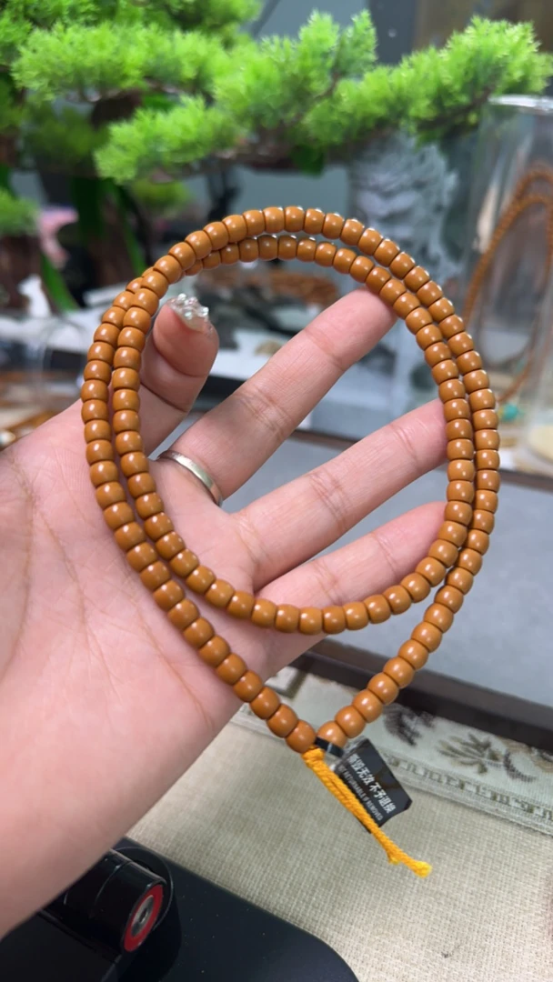 S级橄榄核实心核尖全品无白无裂高油高密脖挂6.2