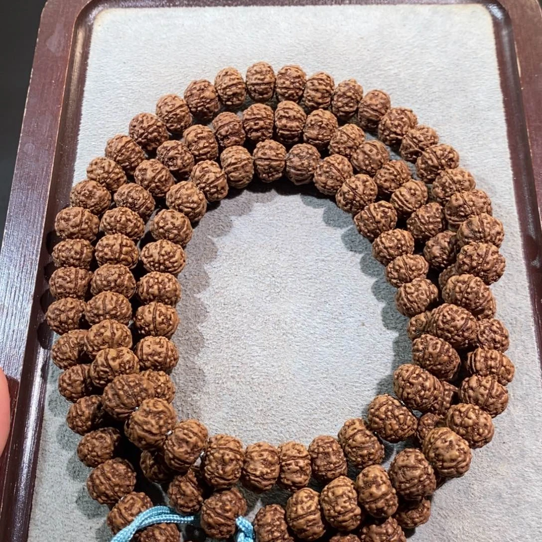 金刚菩提吊坠11尺寸老树王下水精挑脖挂002