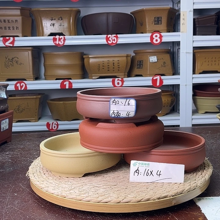 花盆紫砂你在一起