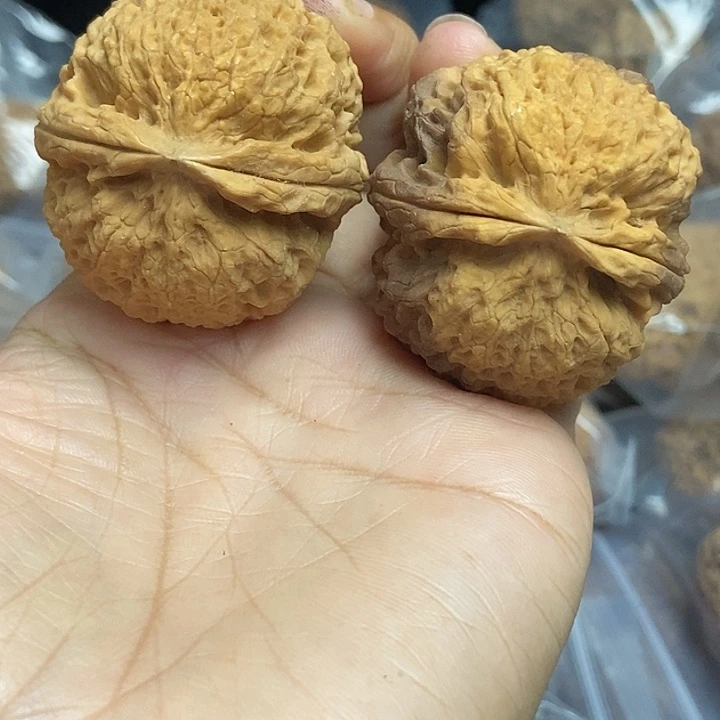 木质类云南铁核桃基地91
