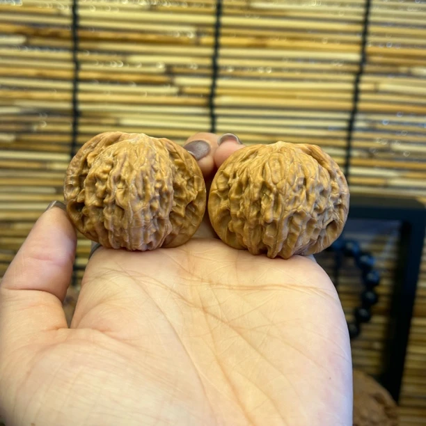 山地磨盘40/38/33