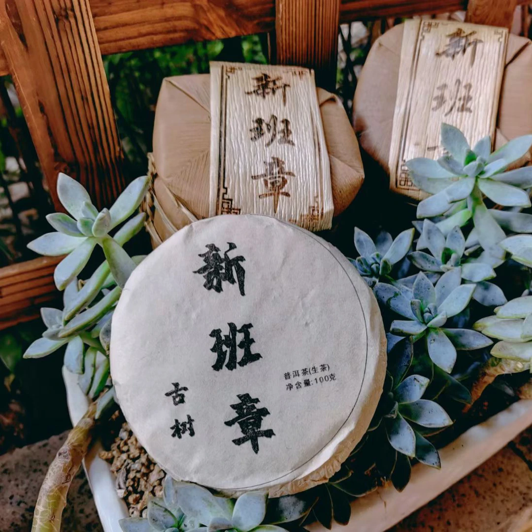 【新班章】2009新班章头春头採  普洱生茶