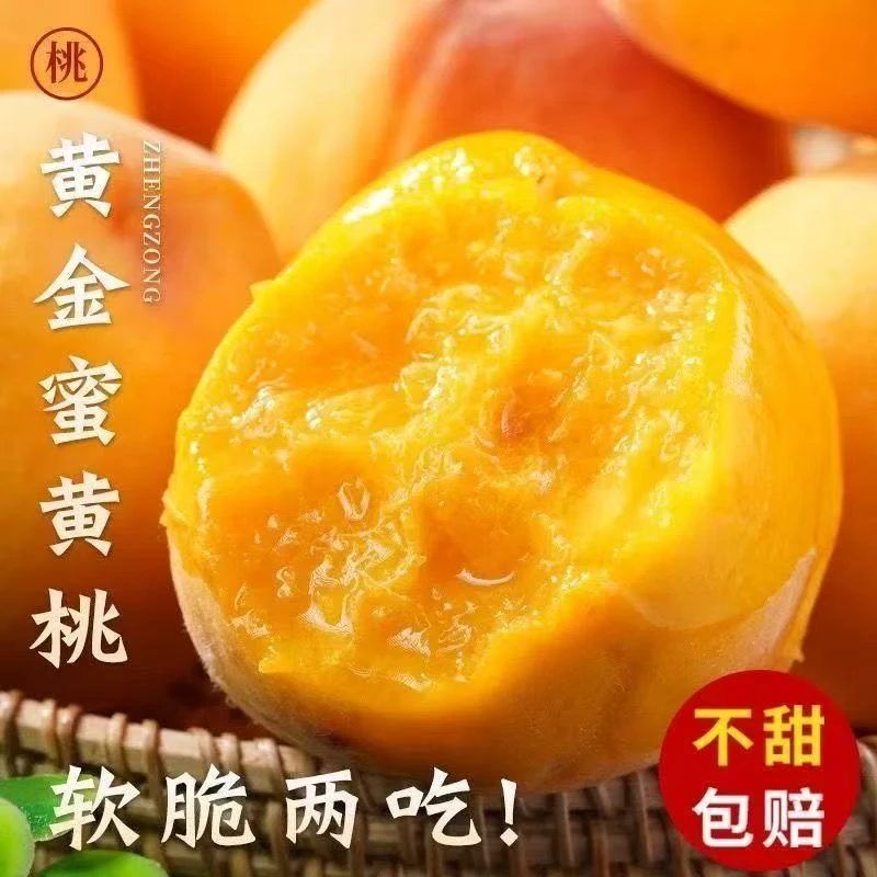 【顺丰包邮】黄金蜜黄桃新鲜水果现采现摘黄肉蜜桃脆甜桃时令果