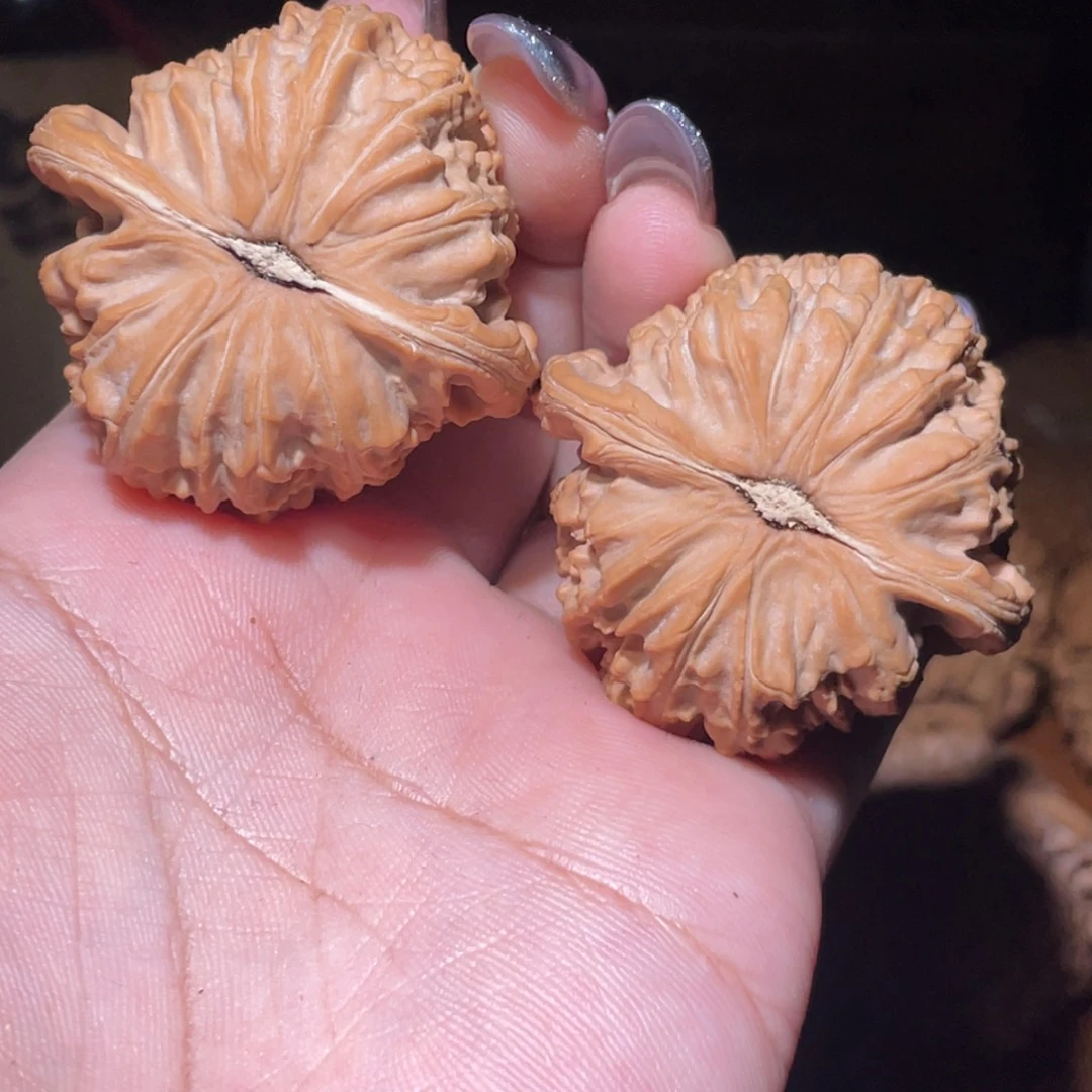 把件文玩核桃活**下白狮子全品