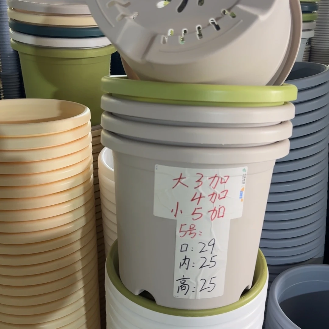 四季5#口径29无拖果绿10个