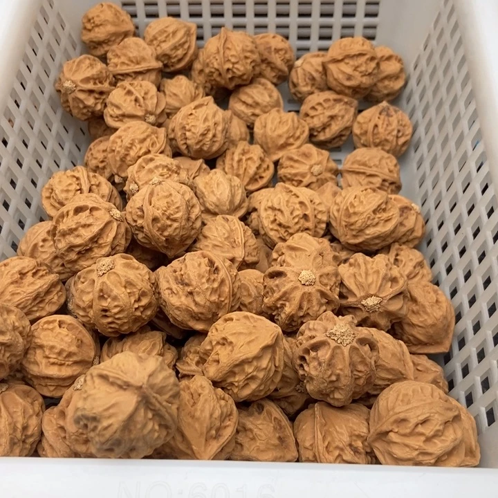 50粒定制打孔，定制商品不退不换